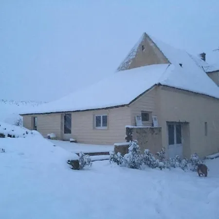 Du Banc De Scie Ceton