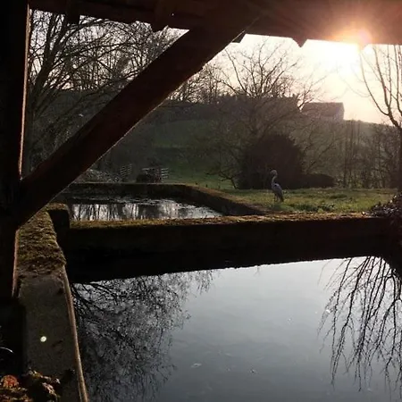 Du Banc De Scie Ceton