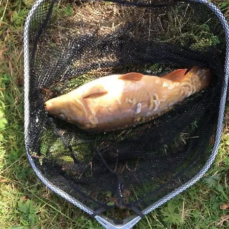 別荘 Du Banc De Scie *