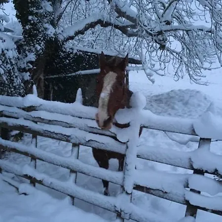 Du Banc De Scie 別荘 Ceton