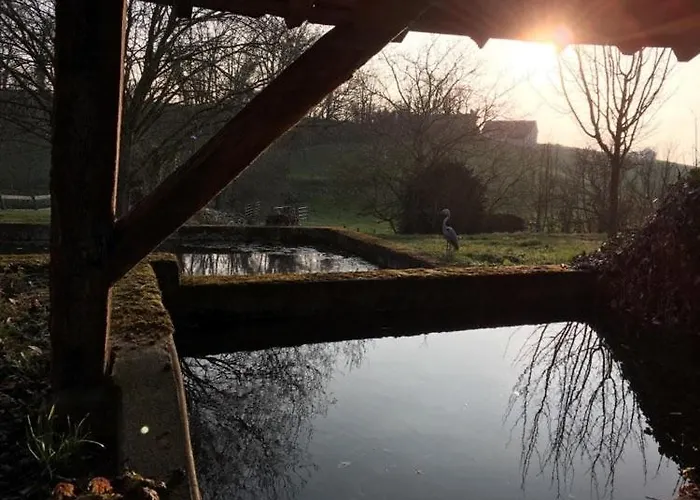 Du Banc De Scie Ceton