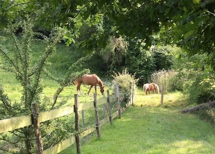 펜션 Du Banc De Scie *