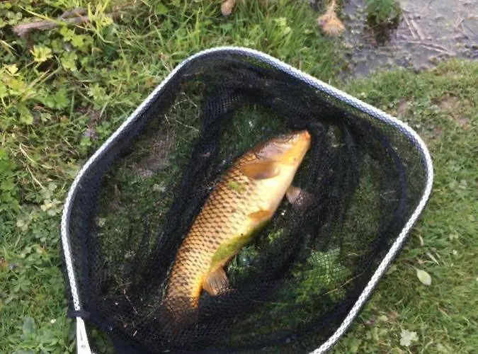 Hébergement de vacances Du Banc De Scie