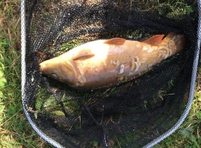 Hébergement de vacances Du Banc De Scie *