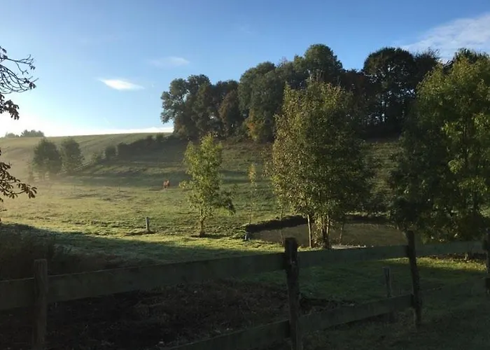 Du Banc De Scie Ceton