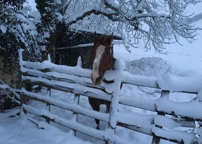 Du Banc De Scie 펜션 Ceton