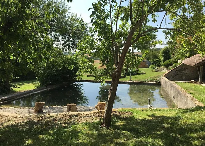 Du Banc De Scie Ceton