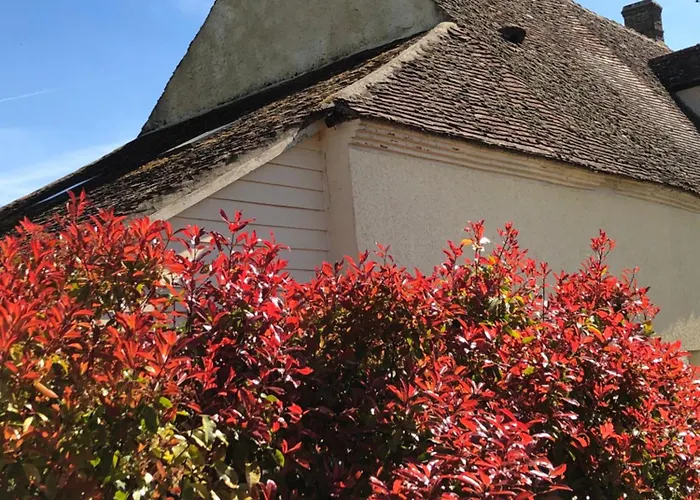 펜션 Du Banc De Scie Ceton